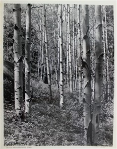 Image description is not available for 2007.010